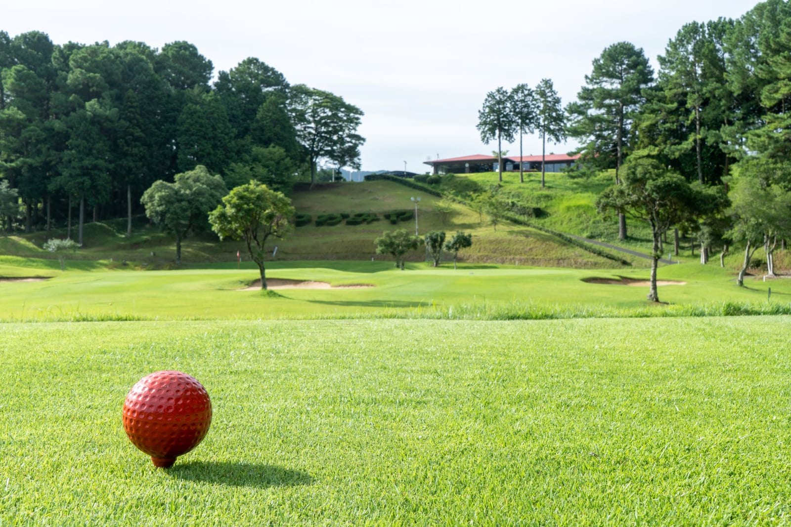 와카미야 골프클럽 (TRIAL GOLF & RESORT WAKAMIYA COURSE) 사진 4