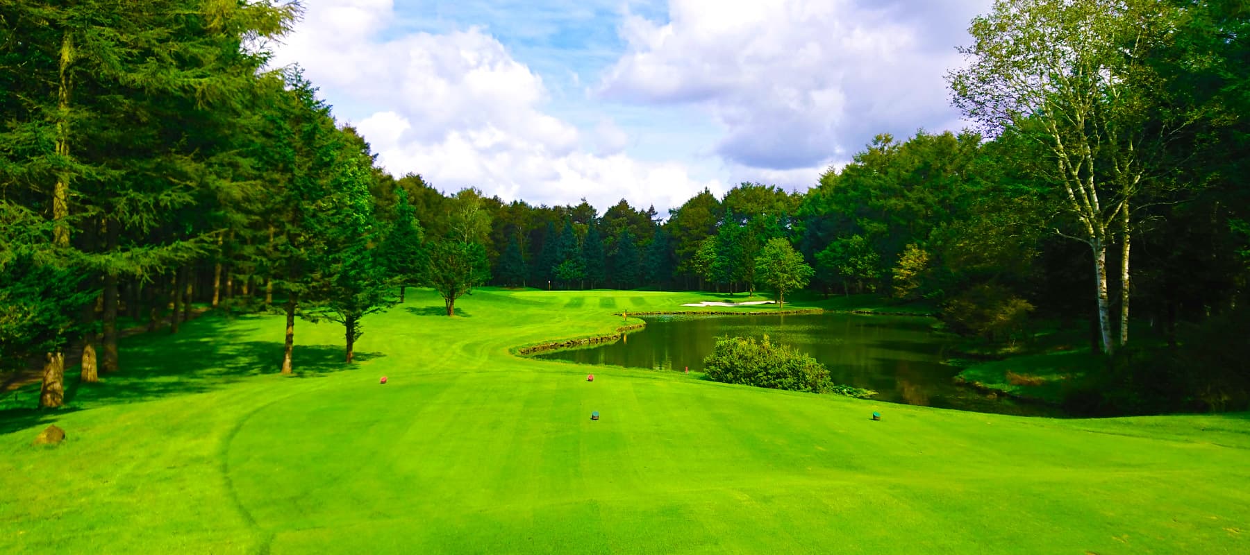2일차 이미지 1